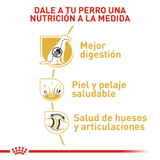 BHN GERMAN SHEPHERD ADULT - NUTRICION A LA MEDIDA.png